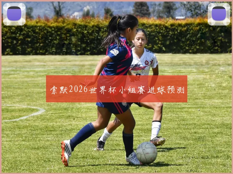 索默2026世界杯小组赛进球预测