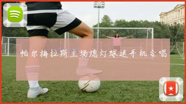 帕尔梅拉斯主场熄灯球迷手机合唱