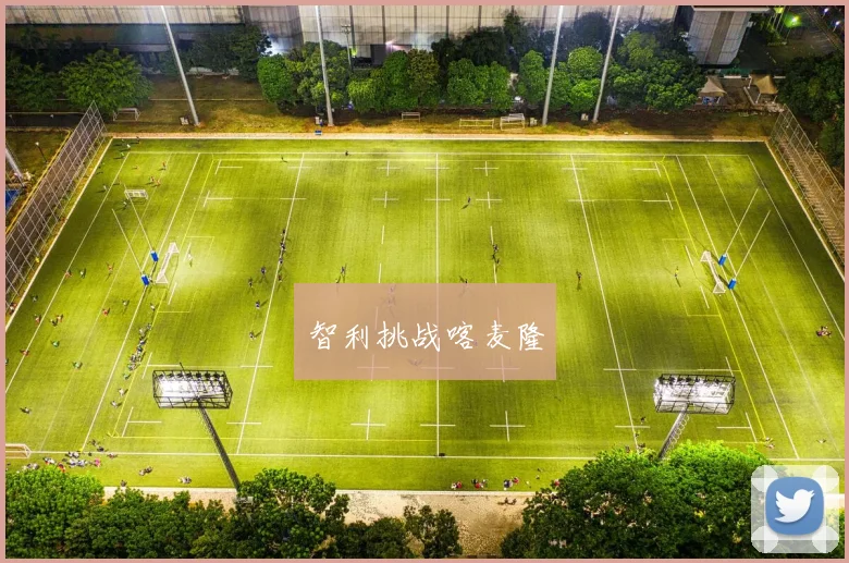 智利挑战喀麦隆