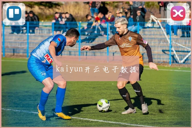 kaiyun开云电子数据