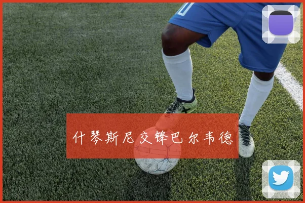 什琴斯尼交锋巴尔韦德