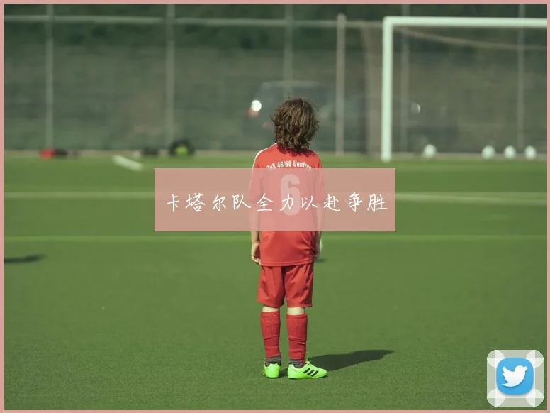 卡塔尔队全力以赴争胜