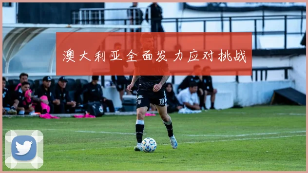 澳大利亚全面发力应对挑战