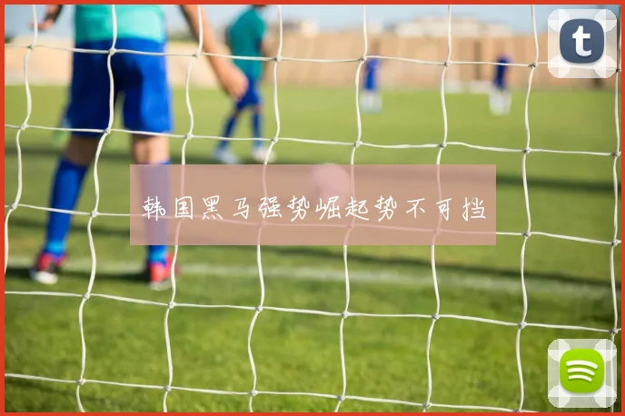 韩国黑马强势崛起势不可挡