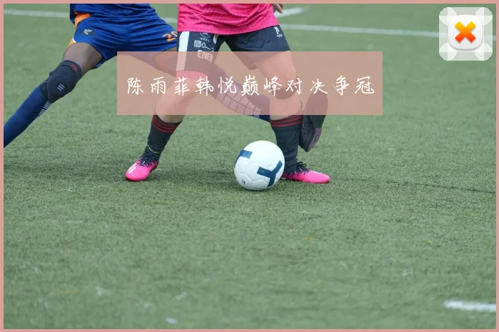 陈雨菲韩悦巅峰对决争冠