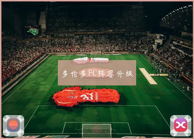 多伦多FC阵容升级