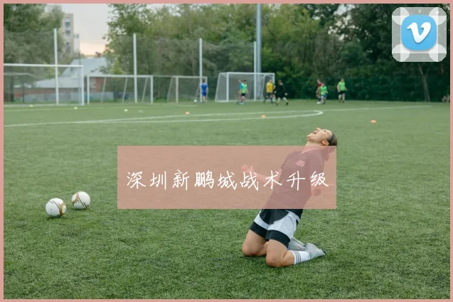深圳新鹏城战术升级