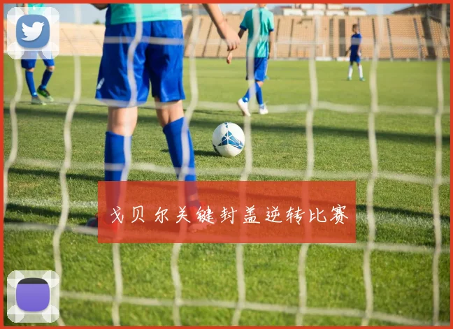 戈贝尔关键封盖逆转比赛