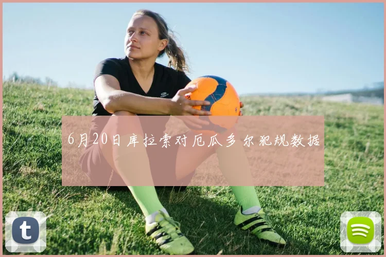 6月20日库拉索对厄瓜多尔犯规数据