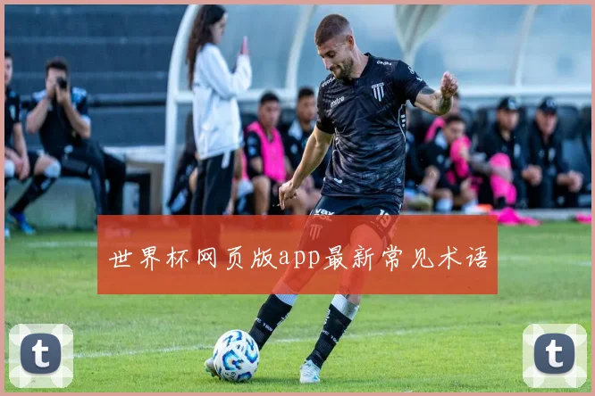 世界杯网页版app最新常见术语