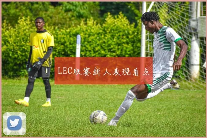 LEC联赛新人表现看点